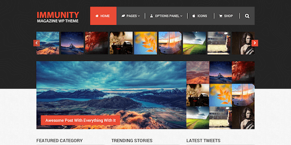 Immunity WordPress Theme