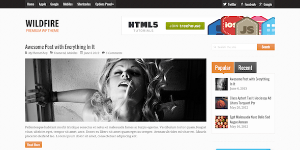 Wildfire Clean & Sleek Responsive WP Magazine Theme