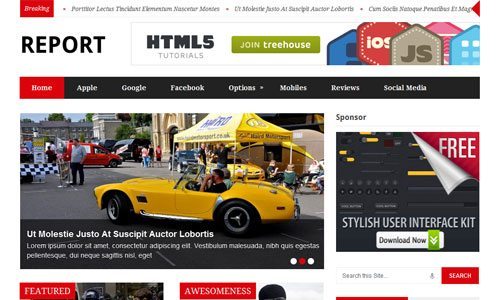 Report WordPress Theme