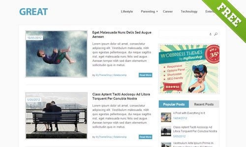 Great WordPress Theme