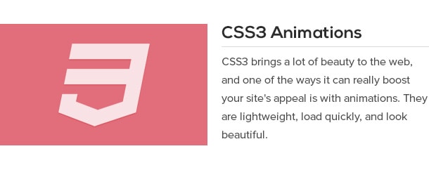 CSS3 brings a lot of beauty to the web, and one of the ways it can really boost your site's appeal is with animations. They are lightweight, load quickly, and look beautiful.