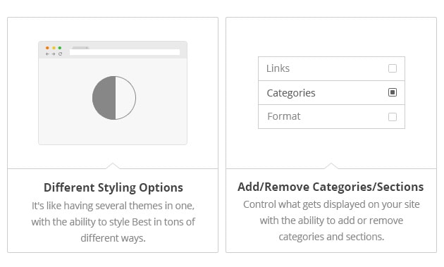 Different Styling Options
- It's like having several
themes in one, with the
ability to style Best in tons
of different ways. Add/Remove
Categories/Sections - Control
what gets displayed on your
site with the ability to add
or remove categories and
sections.