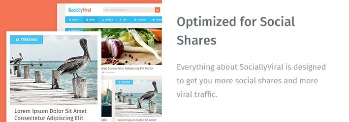 Optimized for Social
Shares