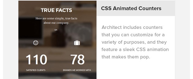 CSS Animated
Counters. Architect includes
counters that you can
customize for a variety of
purposes, and they feature a
sleek CSS animation that makes
them pop.