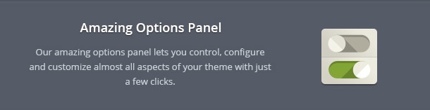 Our amazing options panel lets you control, configure and customize almost all aspects of your theme with just a few clicks.