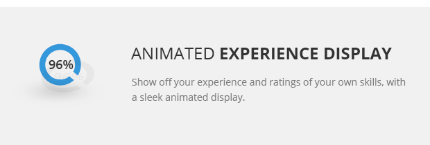 Animated Experience Display
