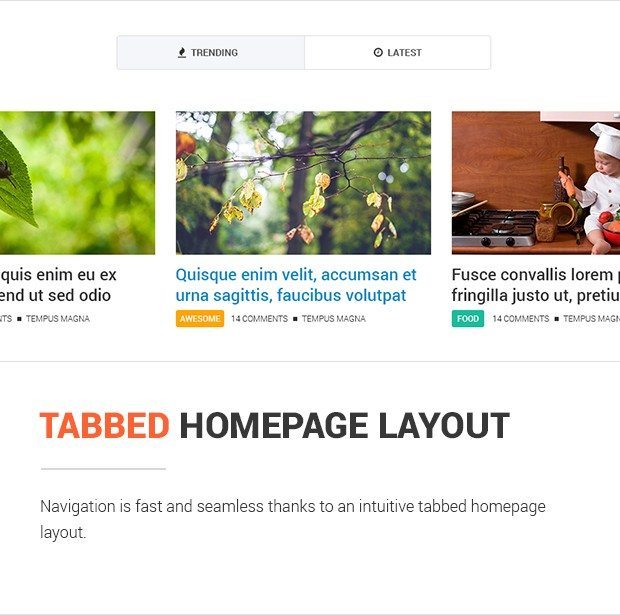Tabbed Homepage Layout