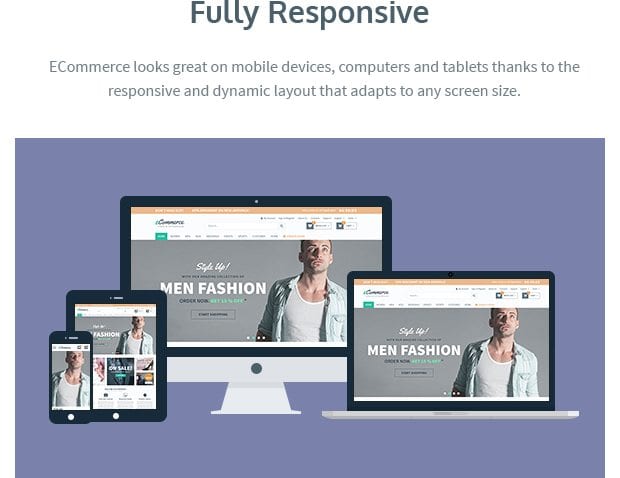 Fully Responsive