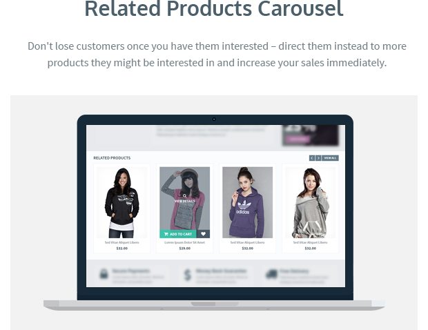 Related Products Carousel