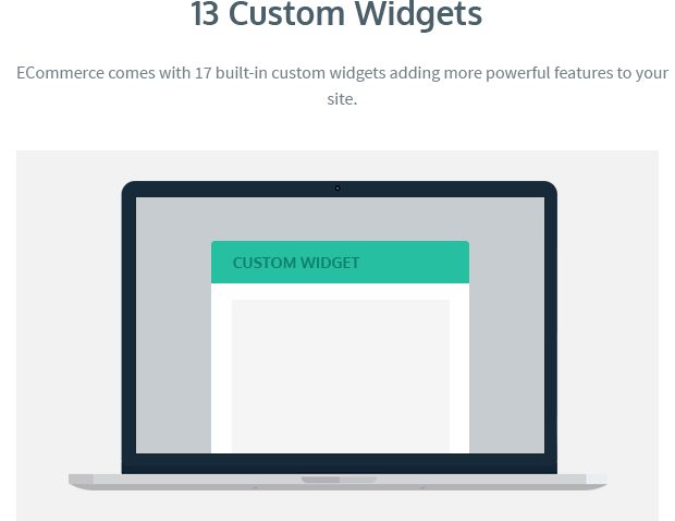 13 Custom Widgets