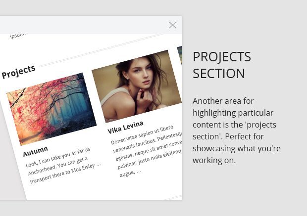 Projects Section