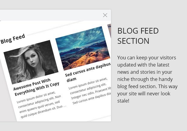 Blog Feed Section