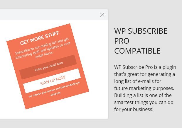 WP Subscribe Pro
Compatible