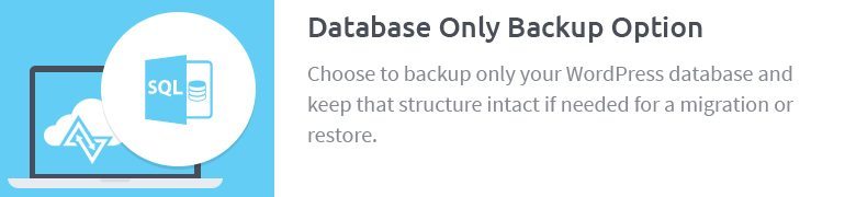 Database Only Backup Option