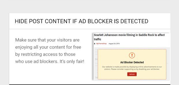 Make sure that your visitors are enjoying all your content for free by restricting access to those who use ad blockers. It’s only fair!