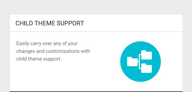 Easily carry over any of your changes and customizations with child theme support.