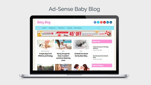 Ad-Sense Baby Blog Demo