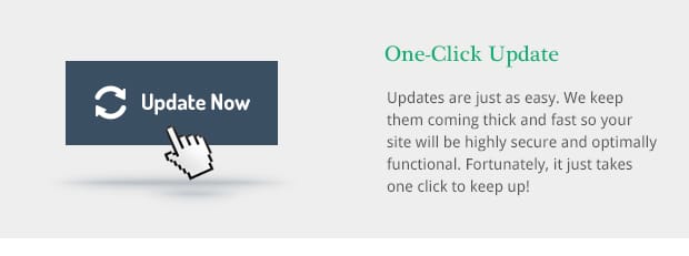 Updates are just as easy. We keep them coming thick and fast so your site will be highly secure and optimally functional. Fortunately, it just takes one click to keep up!