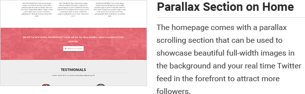 Parallax Section on Home