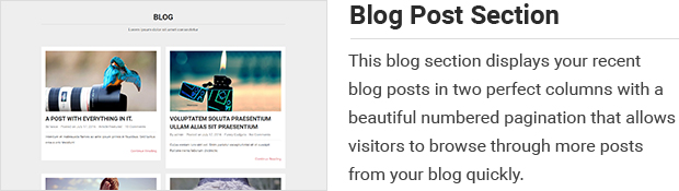 Blog Post Section